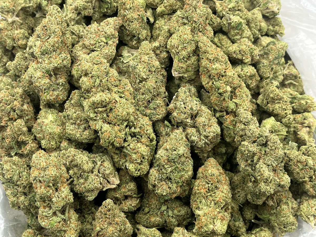 Honey Buns (Indoor) bag photo