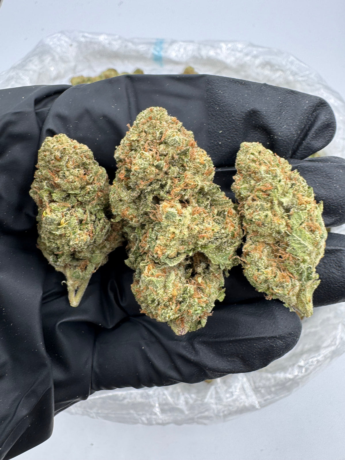 WiFi OG (Indoor) flower photo