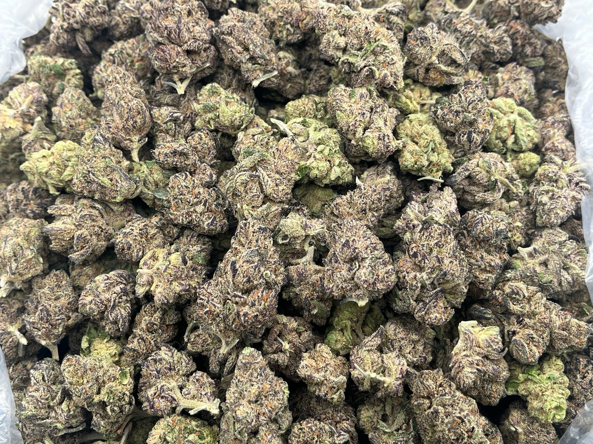 Pink Certz (Indoor) bag photo