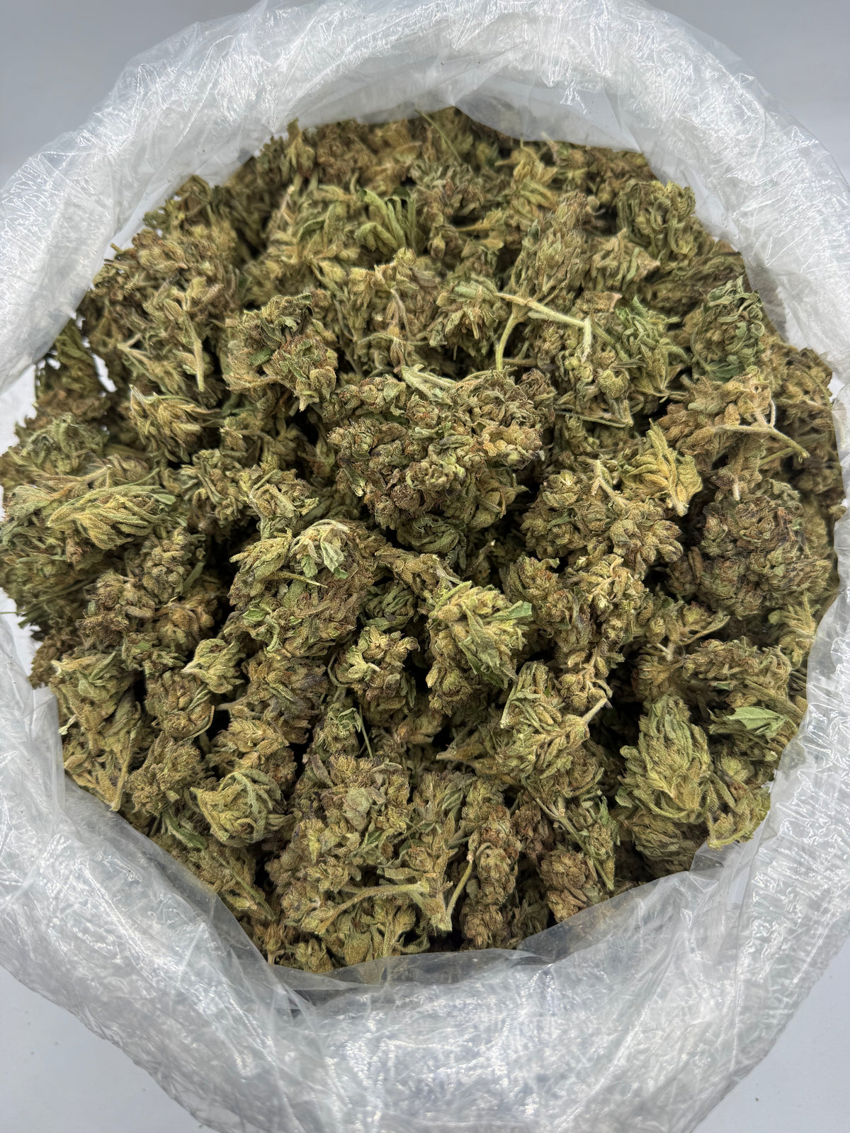 Hypnotic (Lows) bag photo