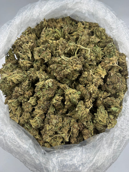 Hypnotic (Lows) bag photo