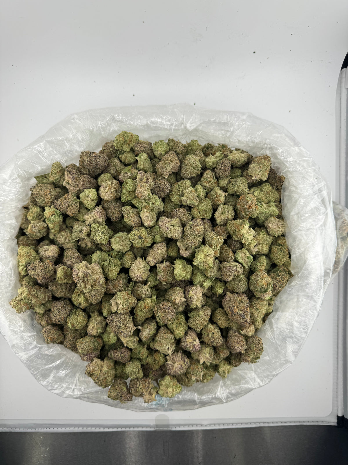 Purple Punch (Indoor) bag photo