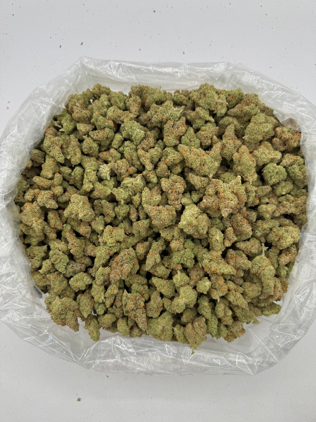 Jack The Ripper (Indoor Plus) bag photo