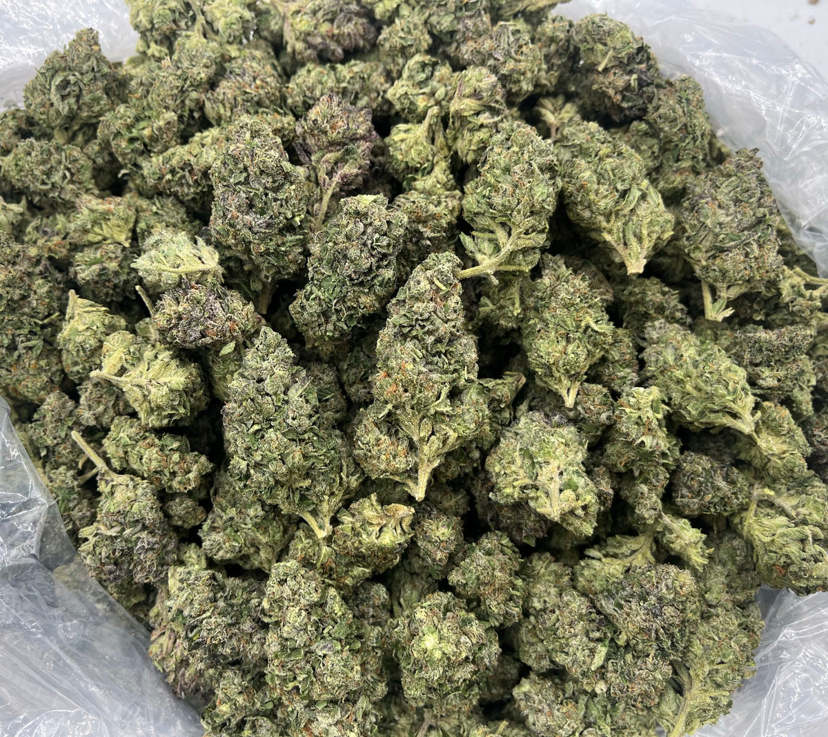 Grape Limeade (Indoor) bag photo