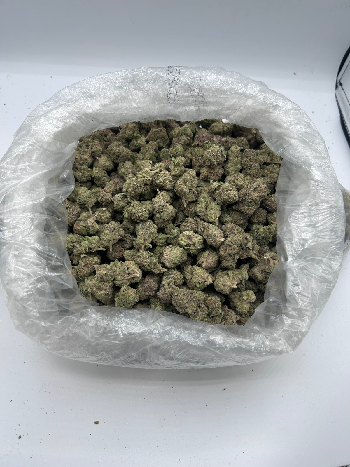 Lemon Bars (Indoor) bag