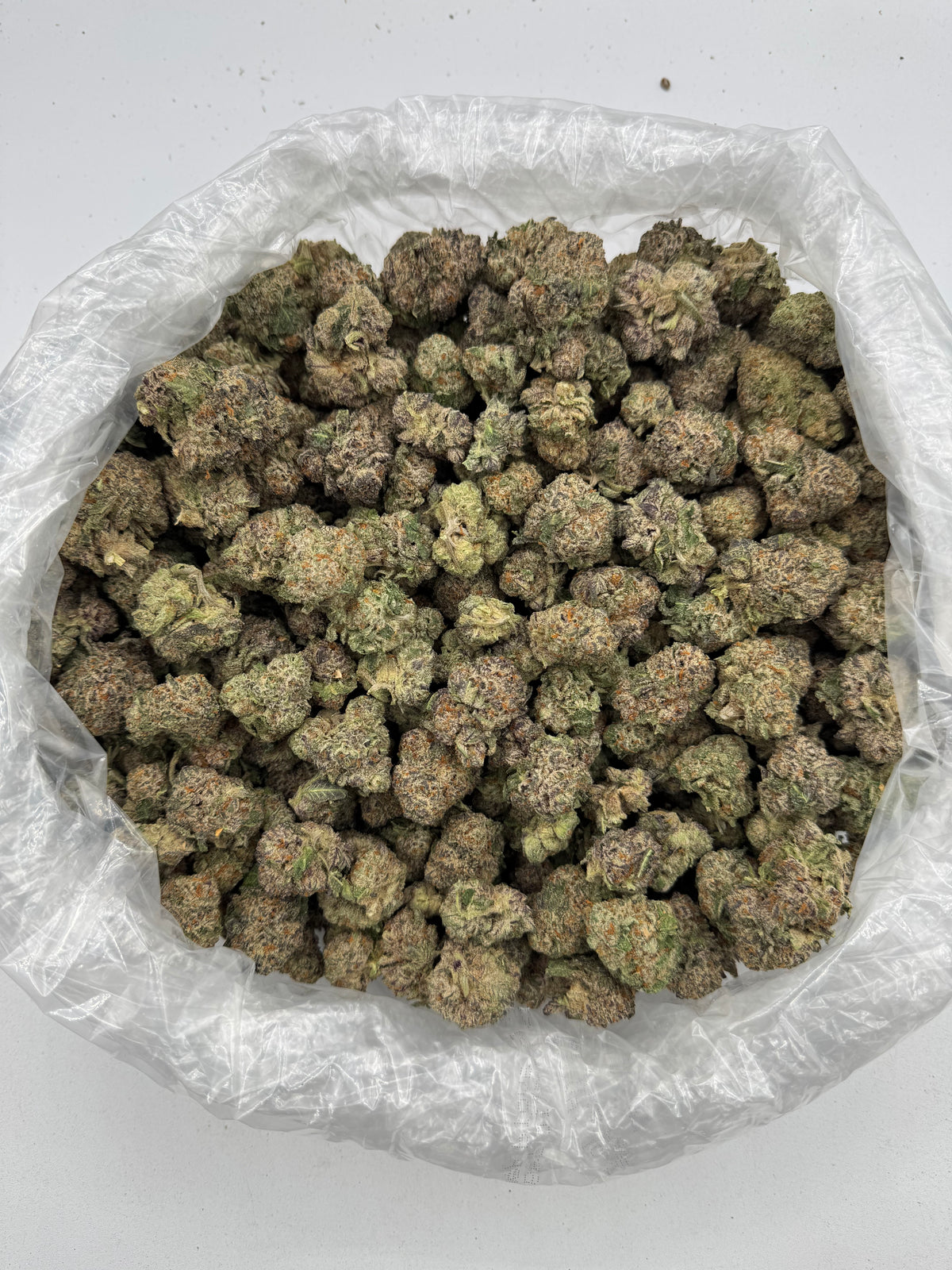 Lemon Cherry Sherbet (Indoor Plus) supplier bag photo