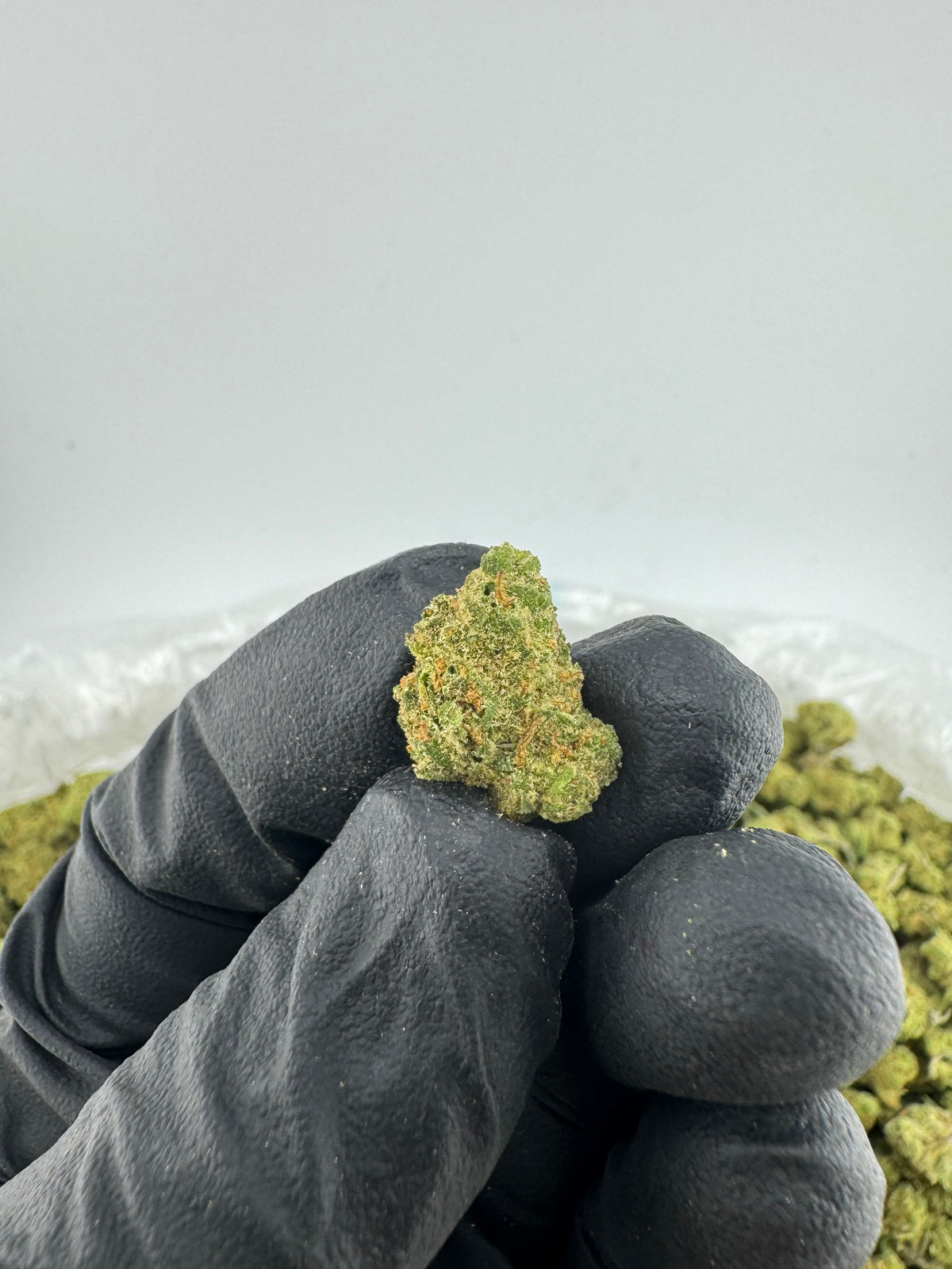 Jack Black (Smalls) supplier nug photo