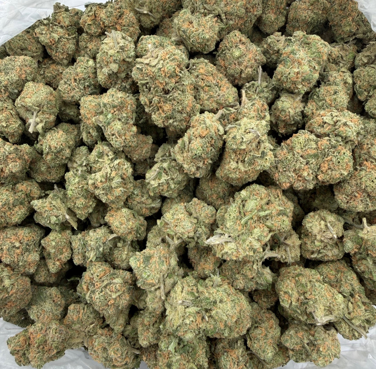 Blue Dream (Indoor) bag photo