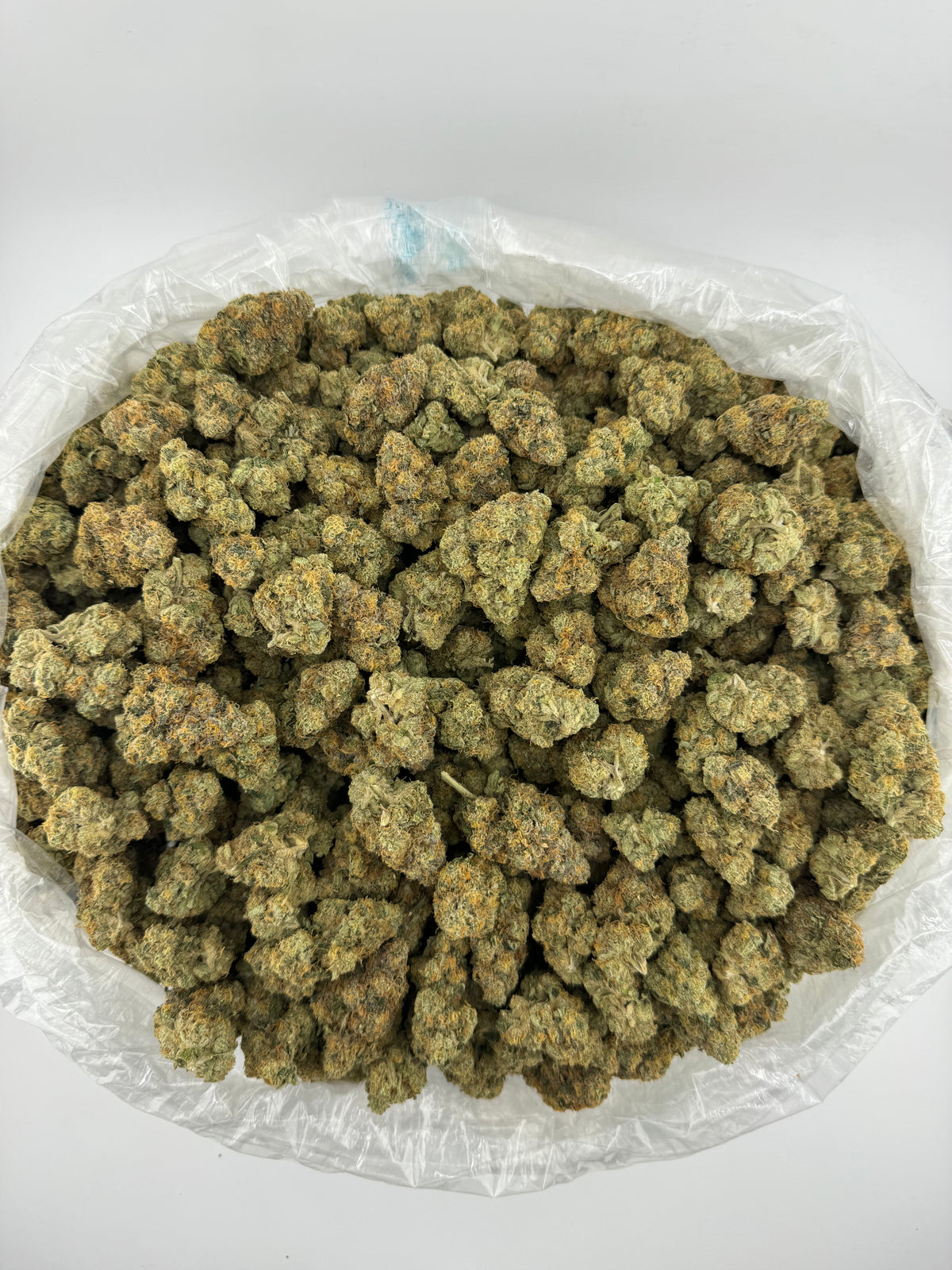 Bubble Bath (Indoor Plus) bag photo