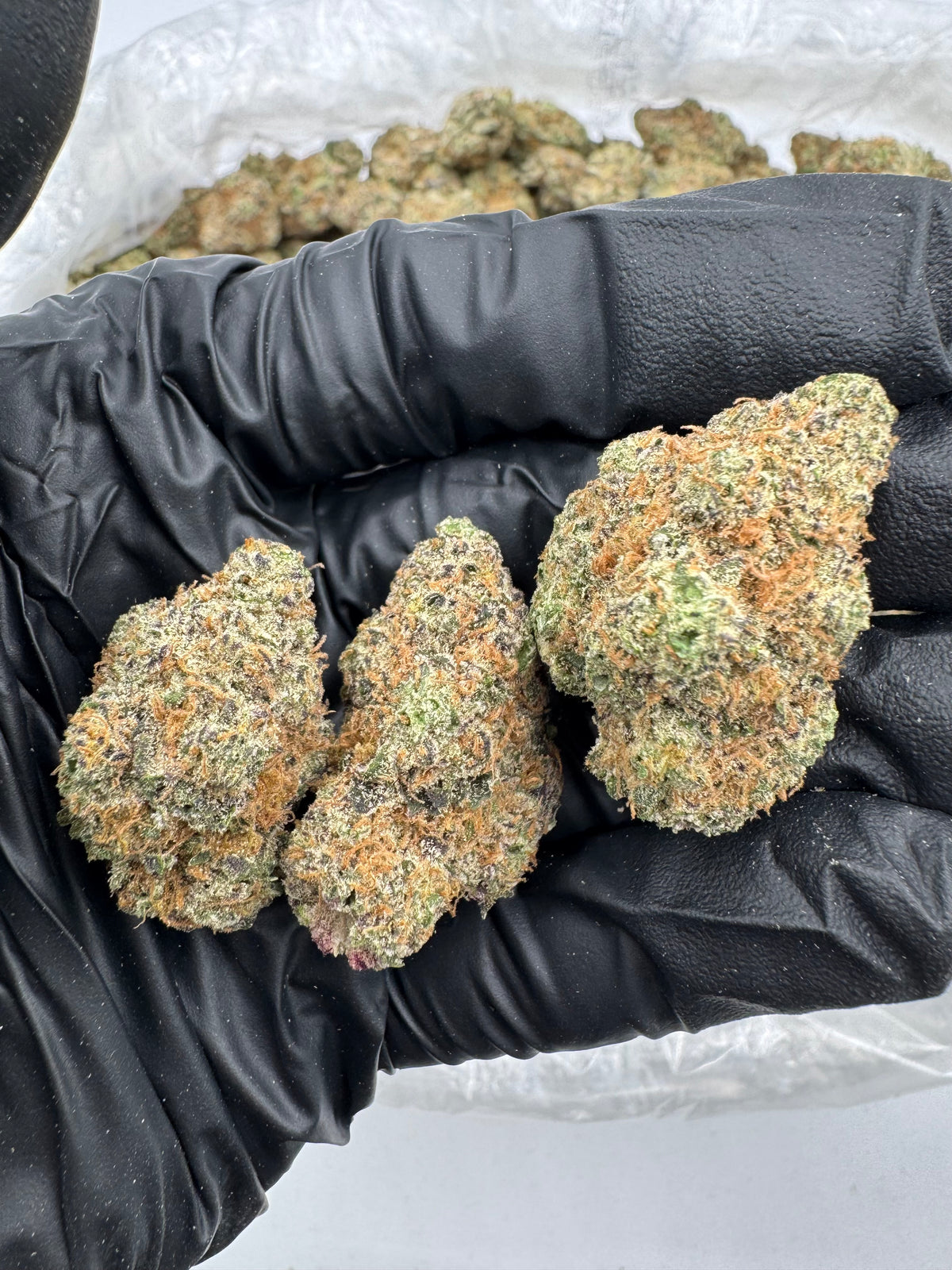 Purple Skittles (Indoor Plus) flower photo