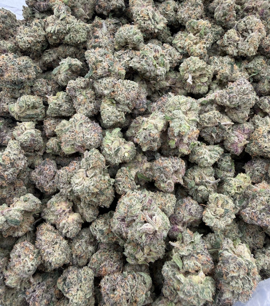 Blue Gummies (Indoor Plus) bag