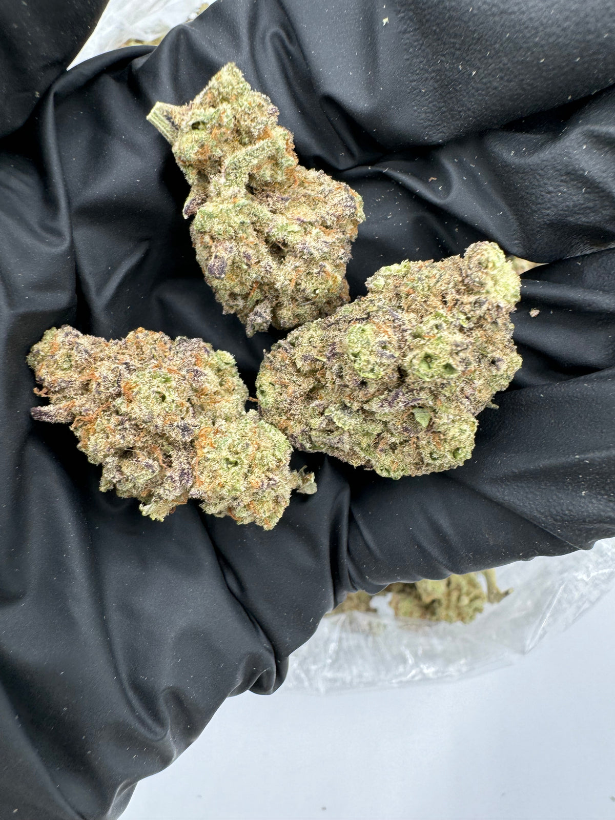 Mac 1 (Indoor) flower photo