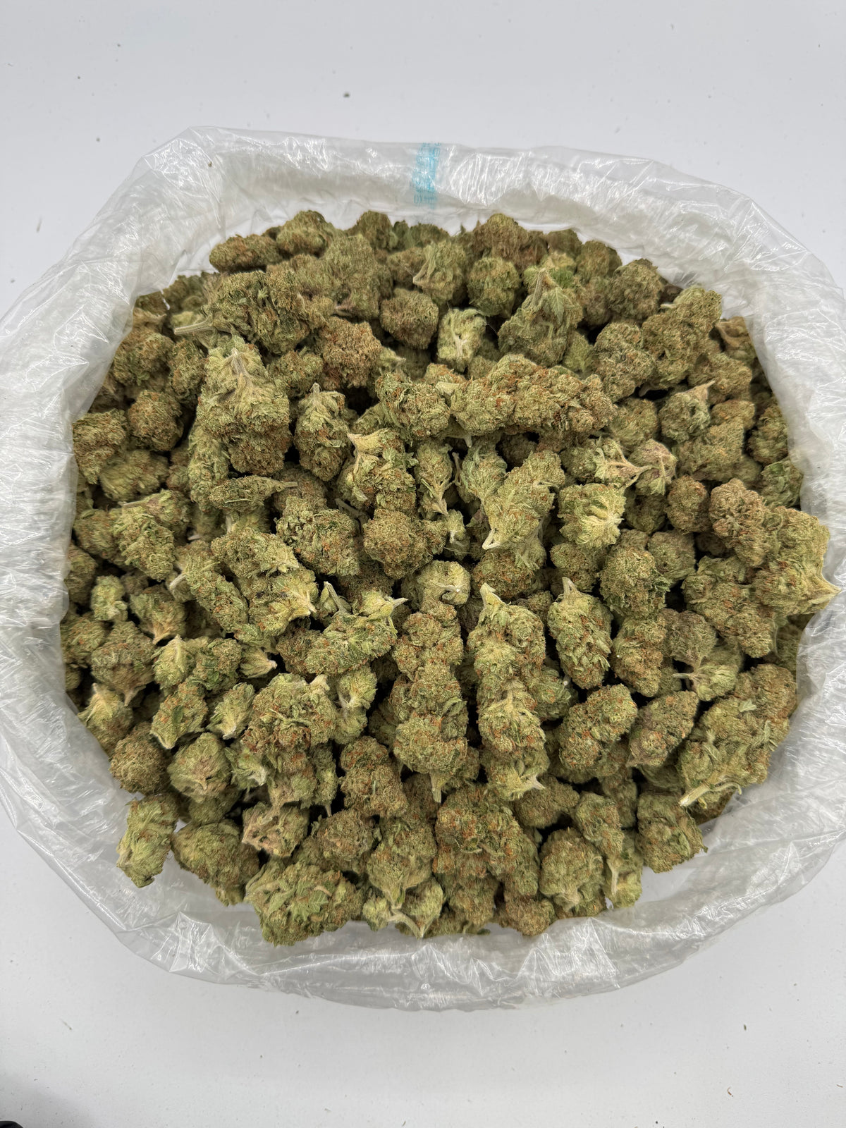 WiFi OG (Indoor) bag photo