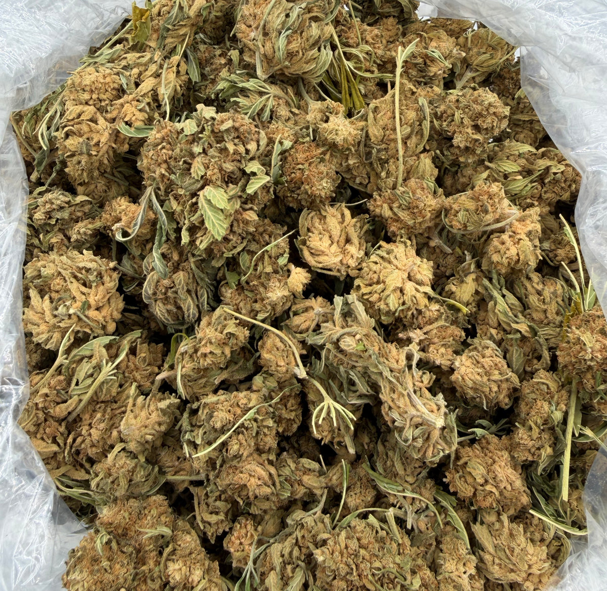 White Guava (Lows) bag photo