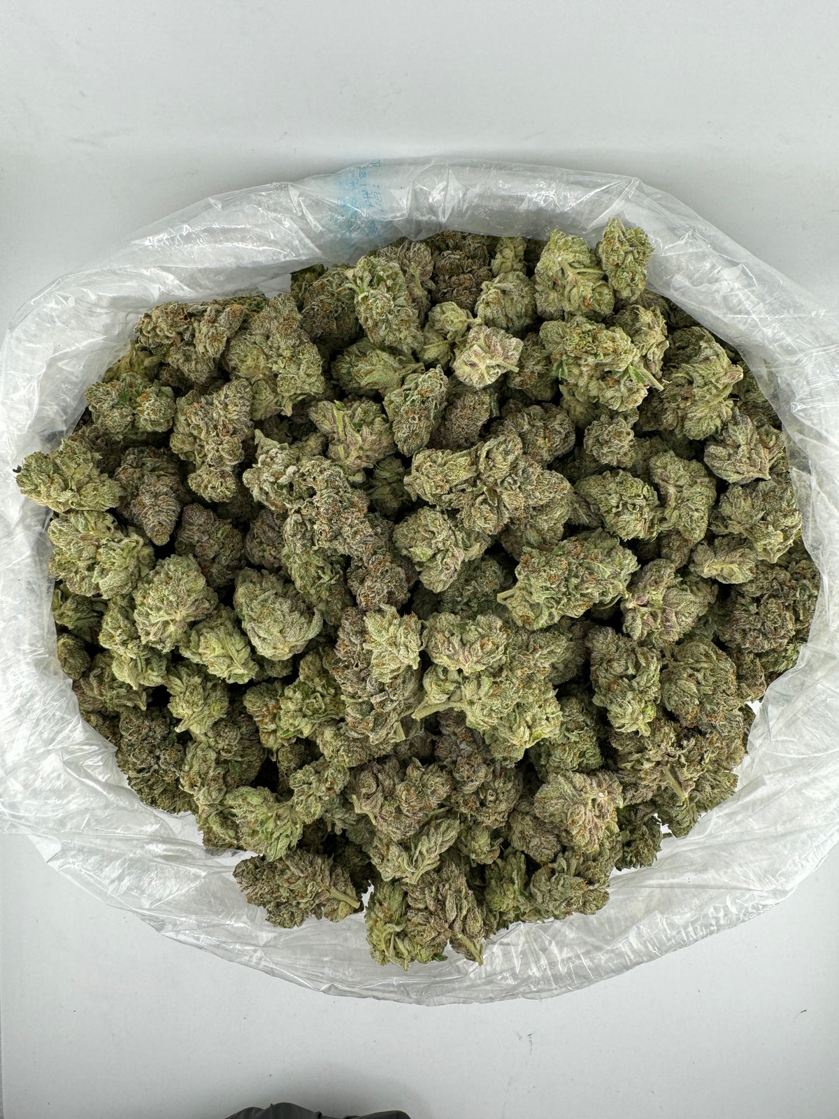 Caffeine (Indoor) bag photo