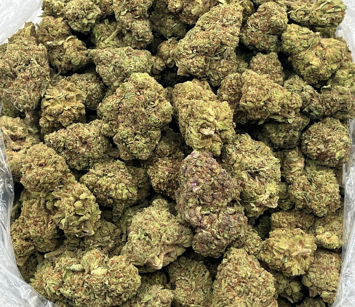 Gelato Cake (Deps) bag photo