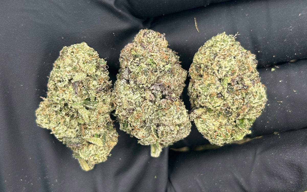 Super Runtz (Indoor Plus) flower photo