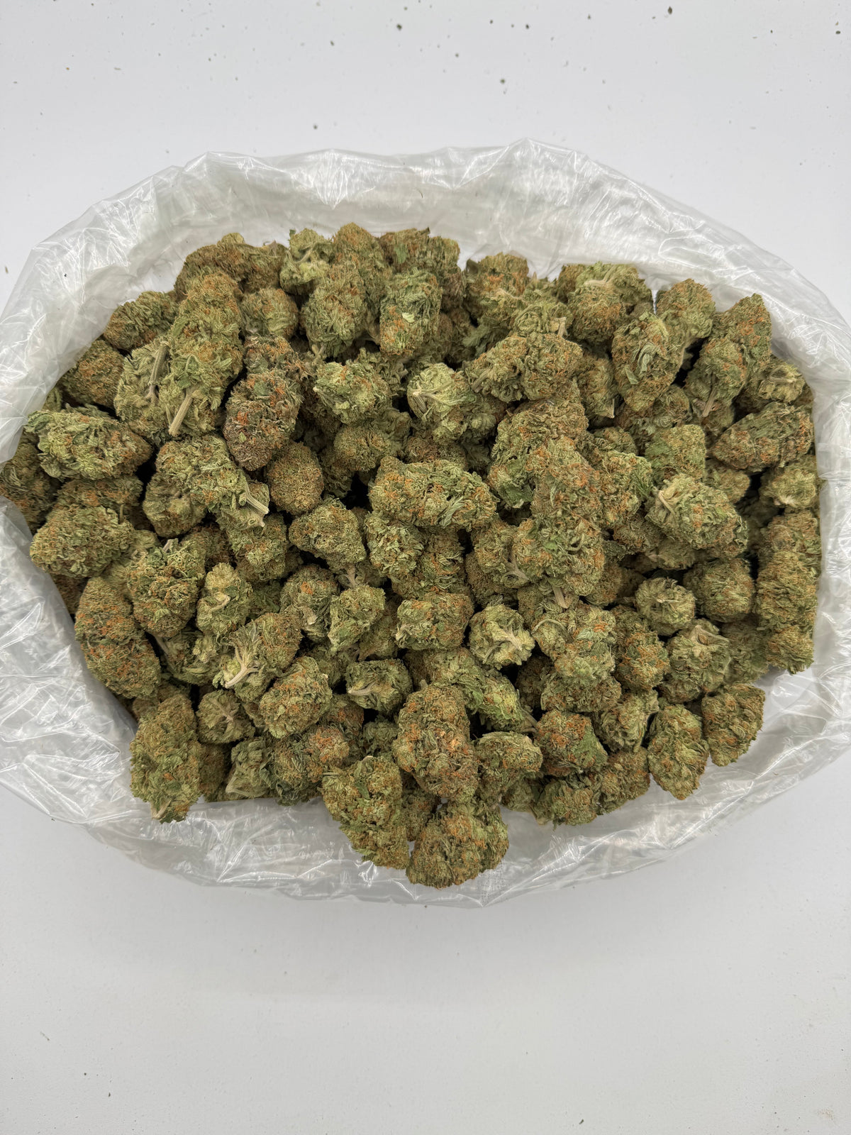 Garlotti Runtz (Indoor) bag photo