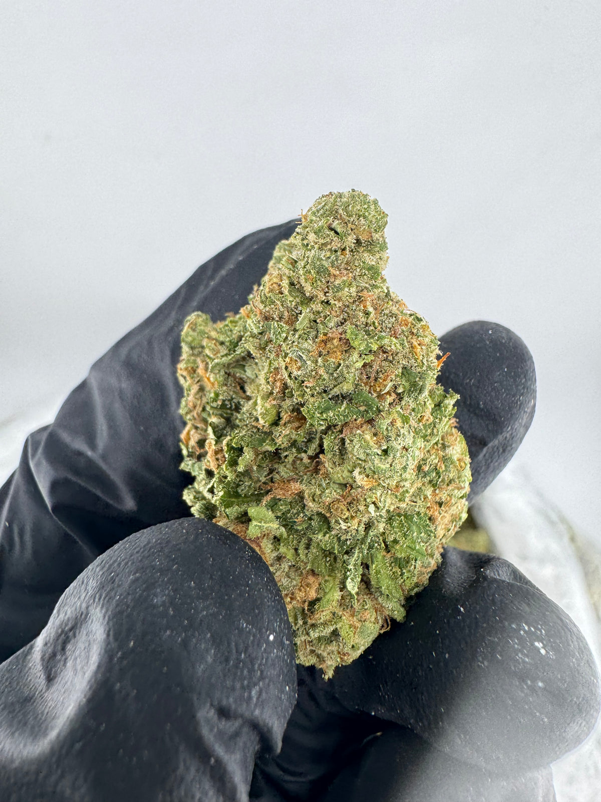 Pipe Dream (Indoor) supplier nug photo
