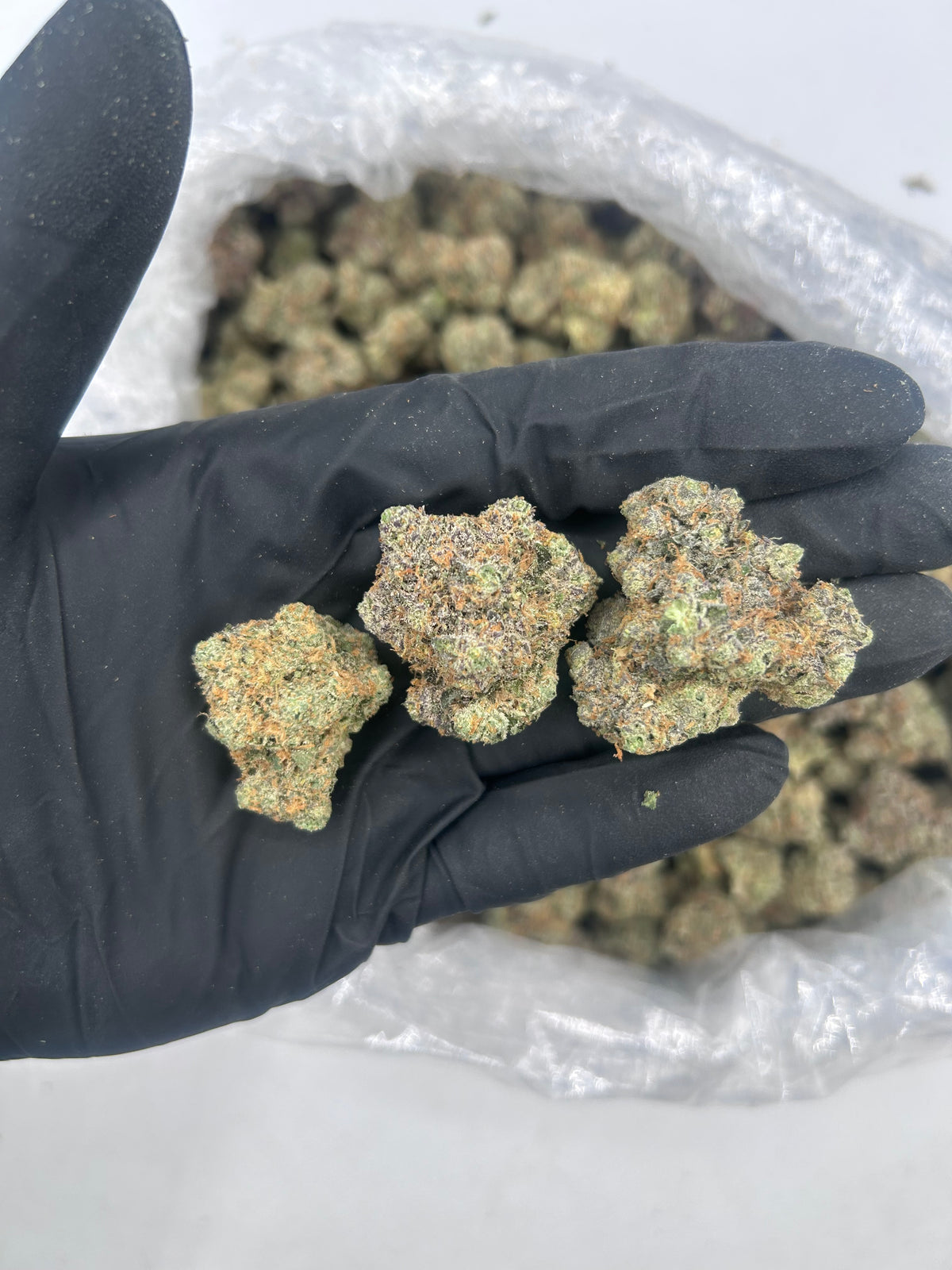Rainbow OG (Indoor Plus) flower photo