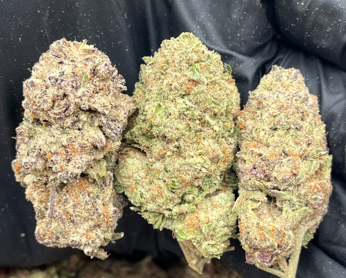 Forbidden Zkittles (Indoor) – Legally Numb