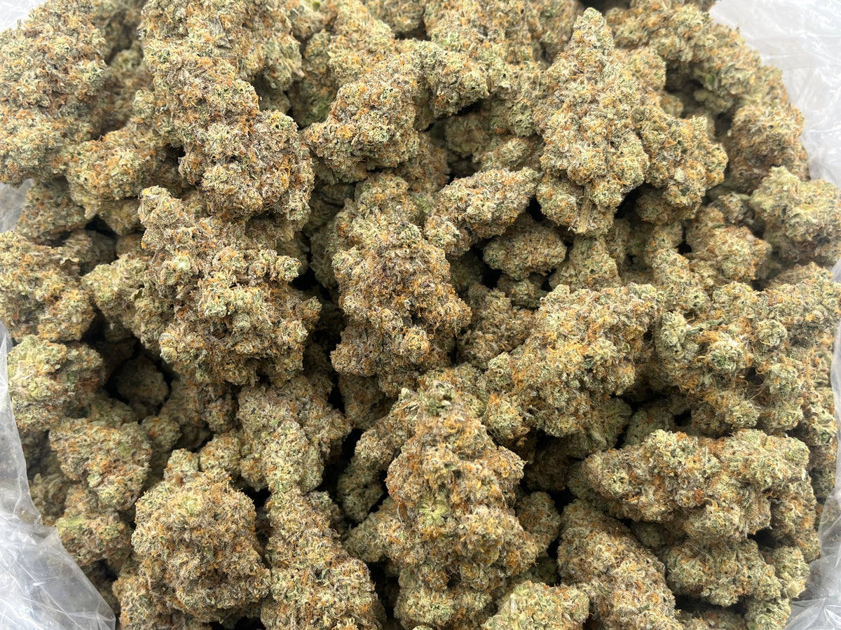 Face on Fire OG (Indoor Plus)