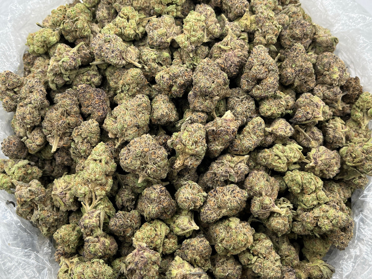 Cough Syrup (Indoor) bag photo