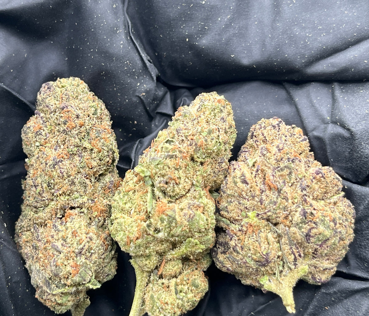 Silver Haze (Indoor) flower photo