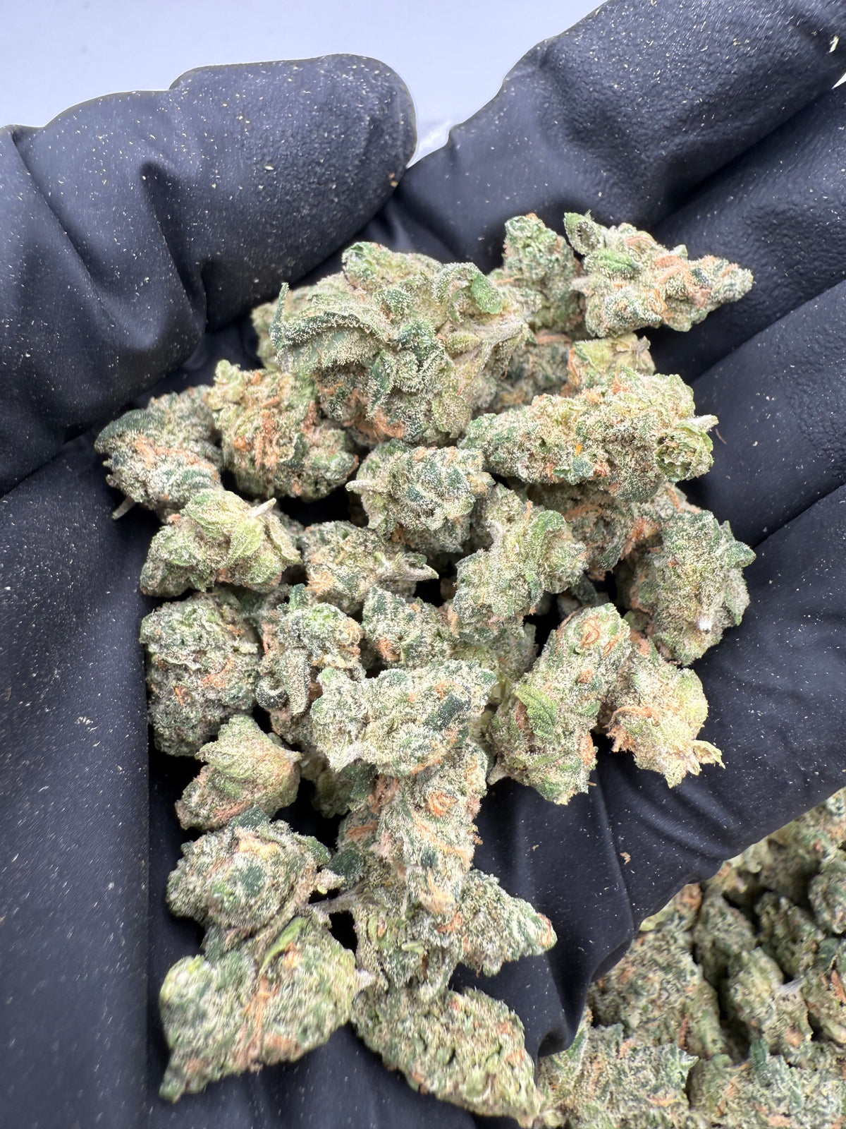 Blue Dream (High End) Smalls flower photo