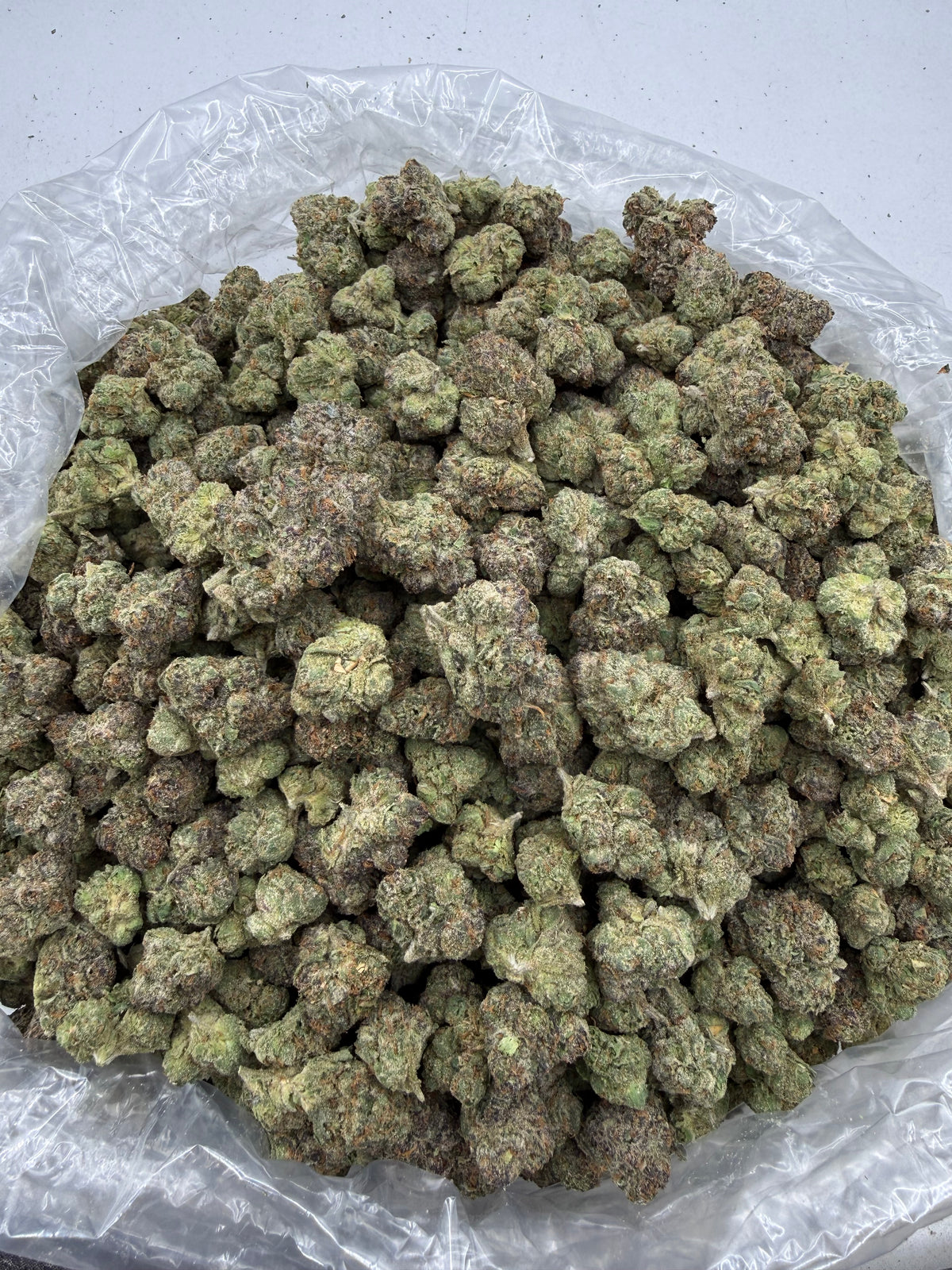 Oakland Runtz (Indoor Plus) bag
