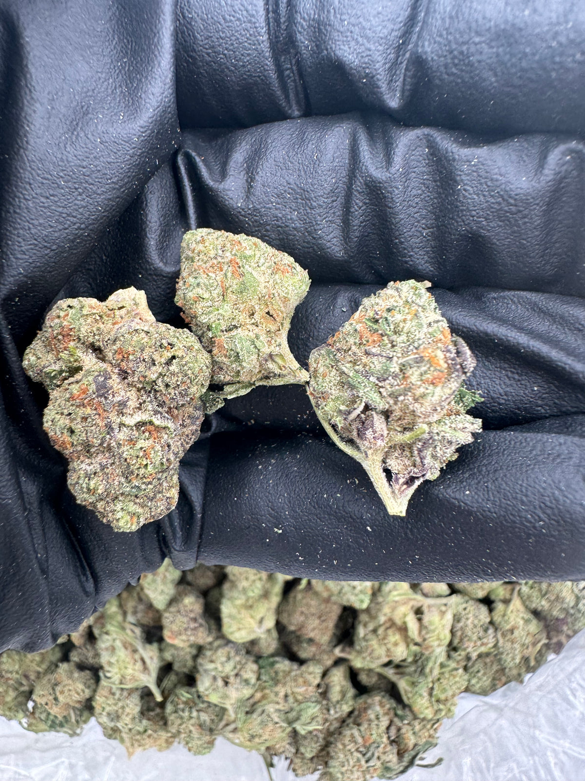 Ice Cream Cake (Mediums) flower photo