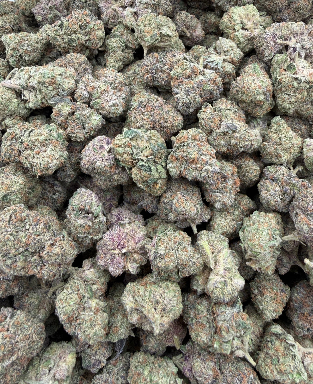 Ice Cream Cake (Indoor) bag photo