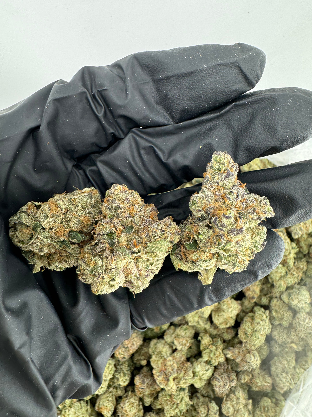 Blue Runtz (Indoor Plus) flower photo