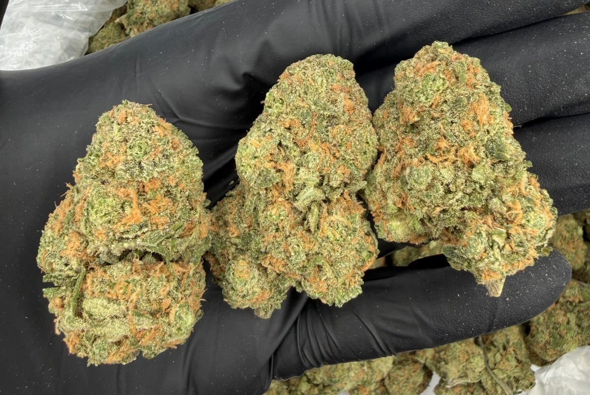 Blue Dream (Indoor) flower photo
