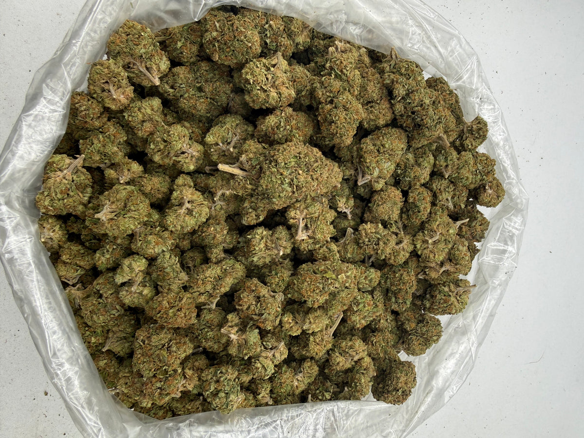 Candy Gelato (Deps) bag photo