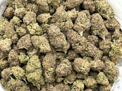 Forbidden Zkittles (Indoor) – Legally Numb