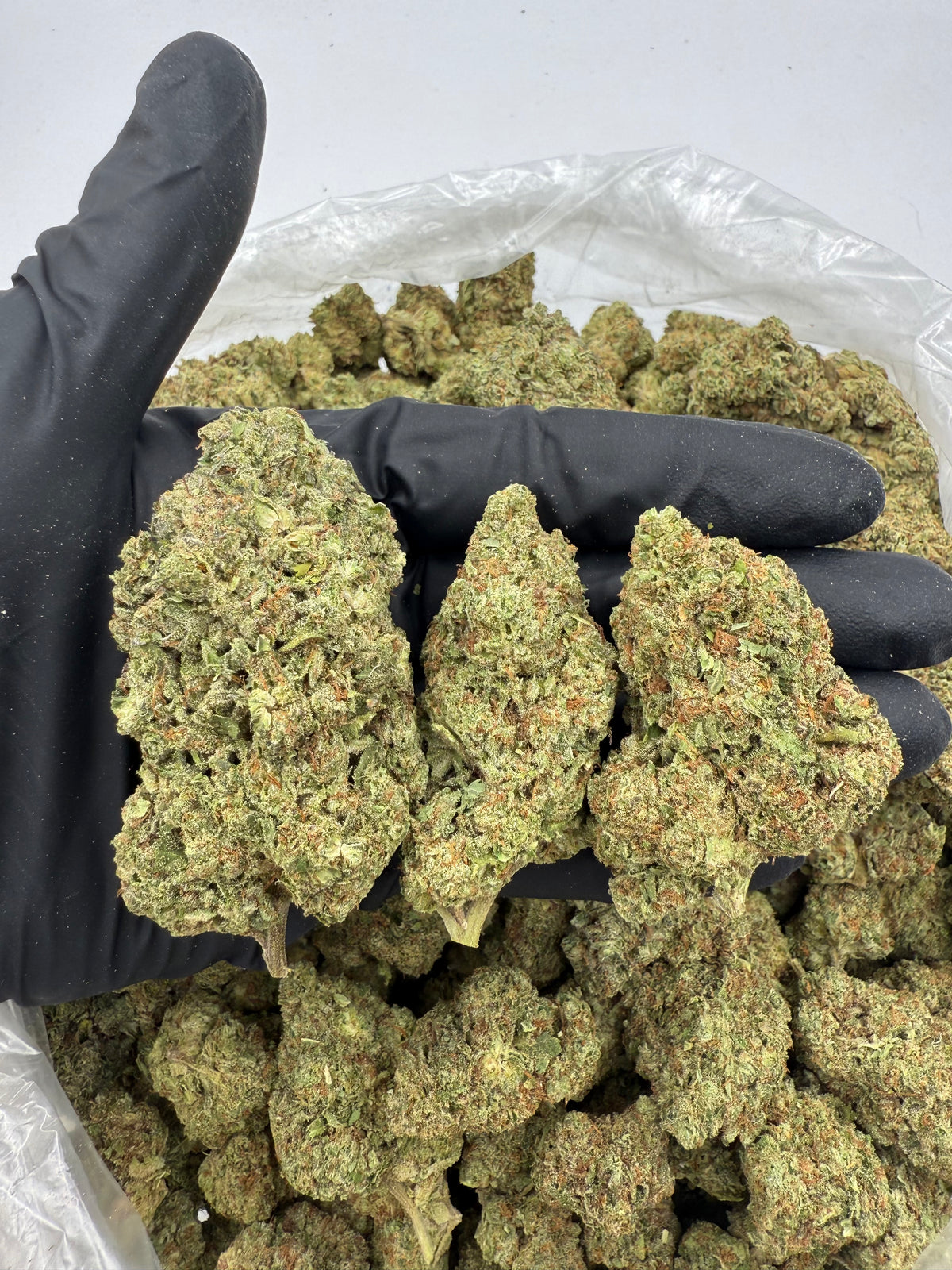 Gucci Cake (Deps) flower photo