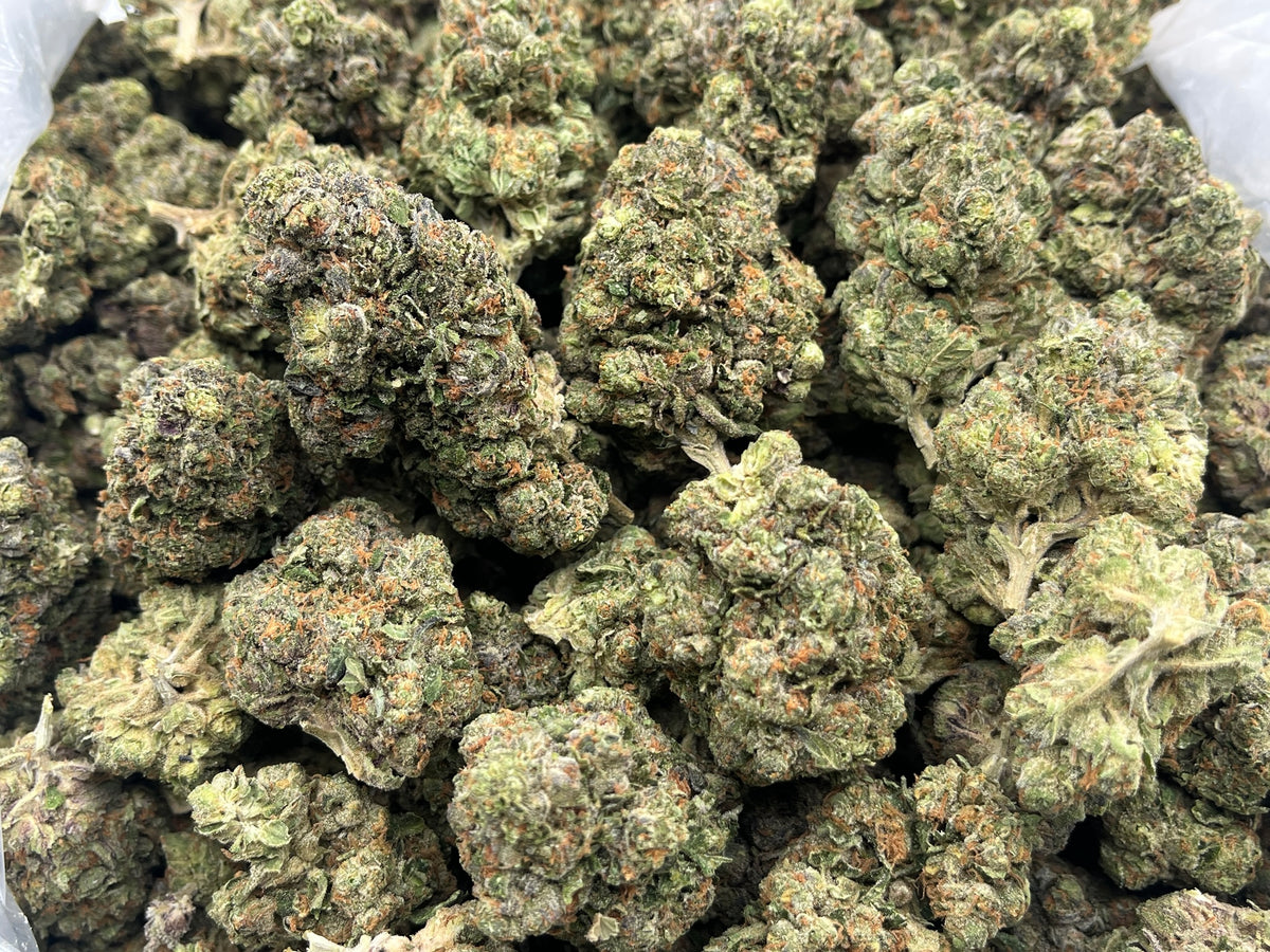 Medellin (Indoor 7) bag photo