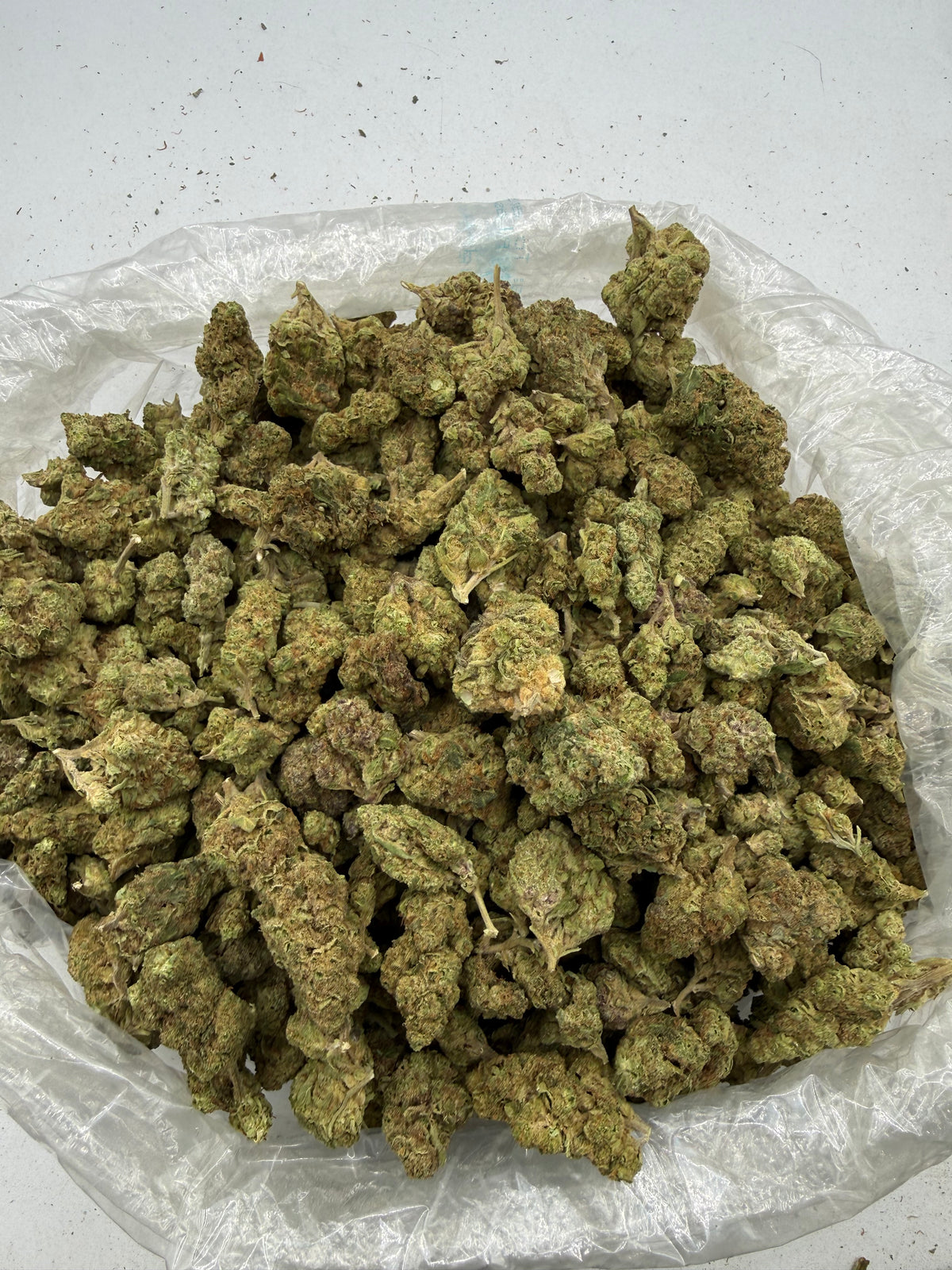 Papaya (Lows) bag photo