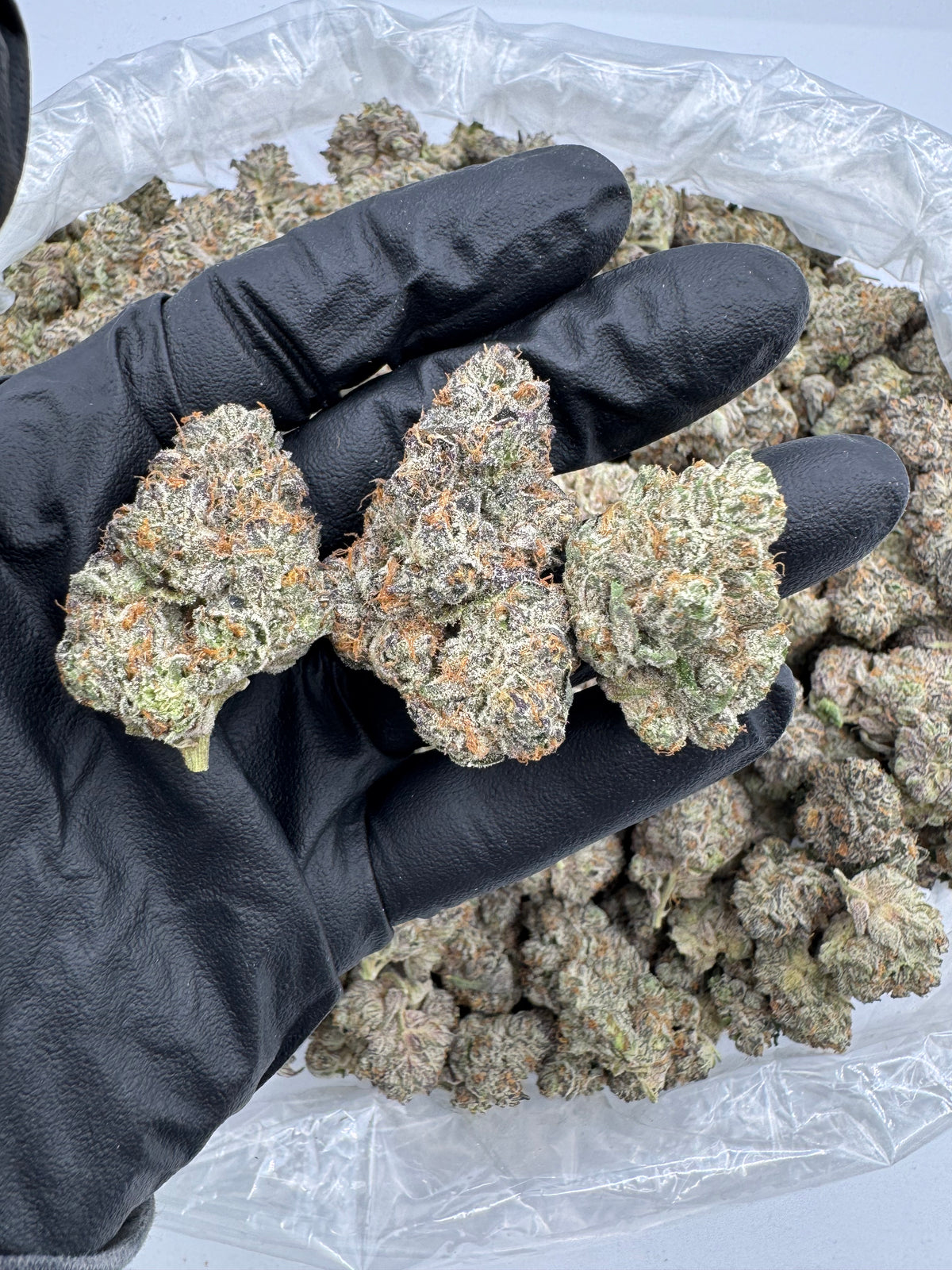 Divorce Cake (High End Bigs) flower photo