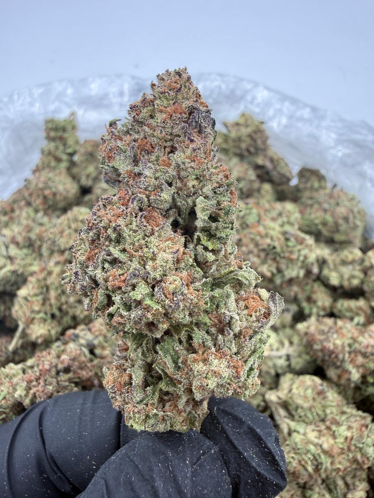 Lipsmacker (Deps) supplier nug photo