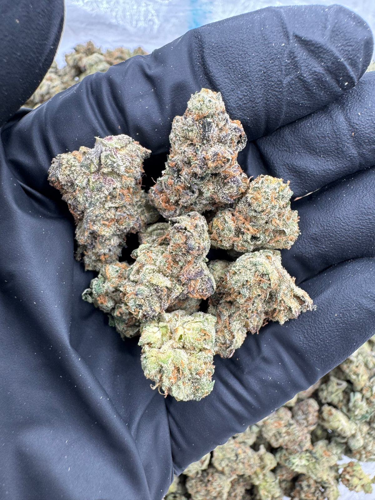 Crunch Berries (Smalls) flower photo