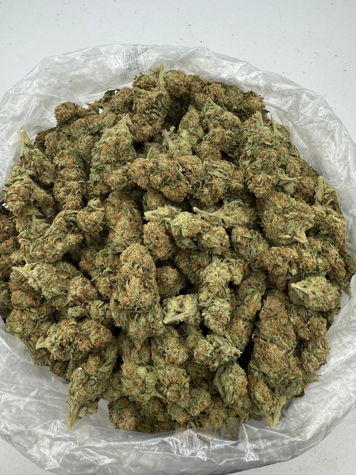 SFV (Indoor) bag photo