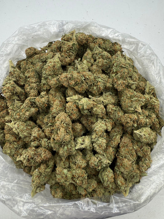 SFV (Indoor) bag photo