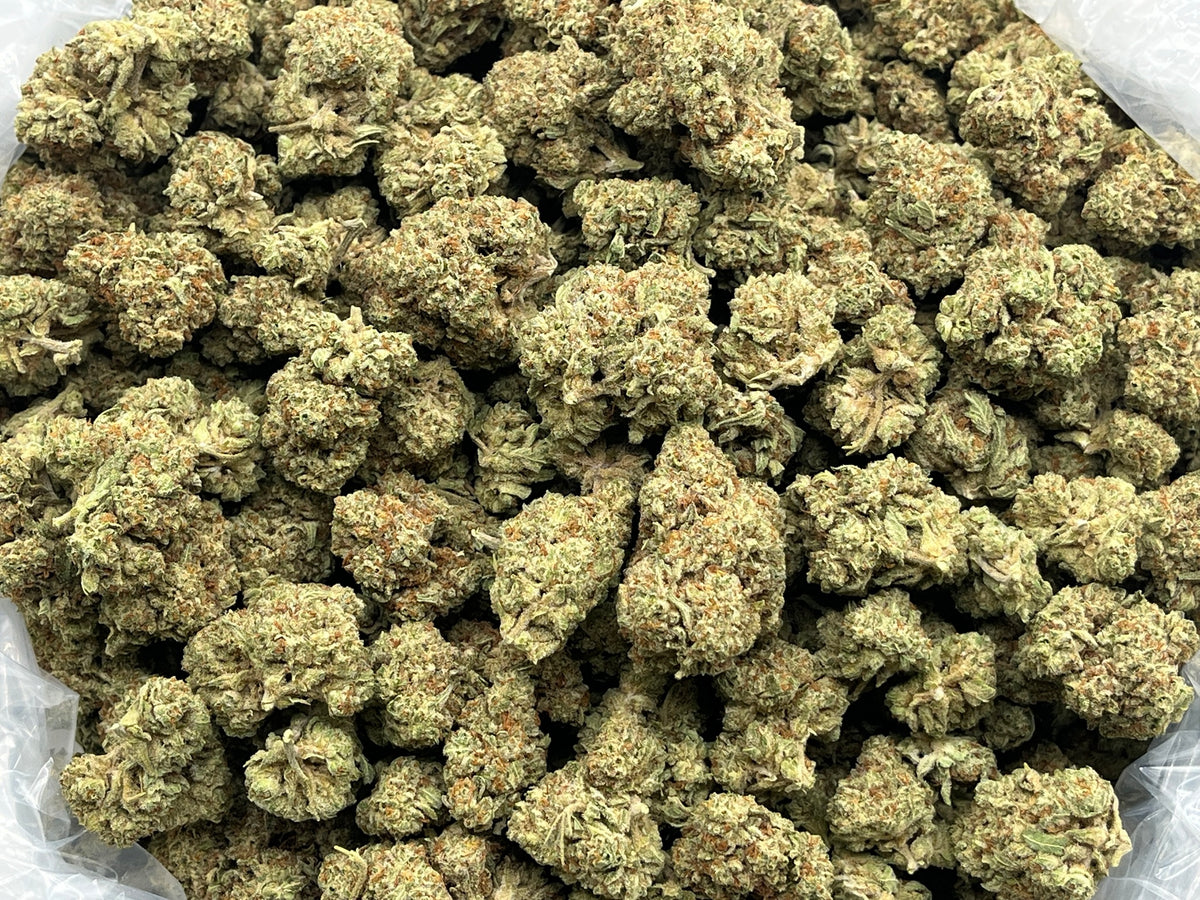 Sour Diesel (Lows) supplier bag photo