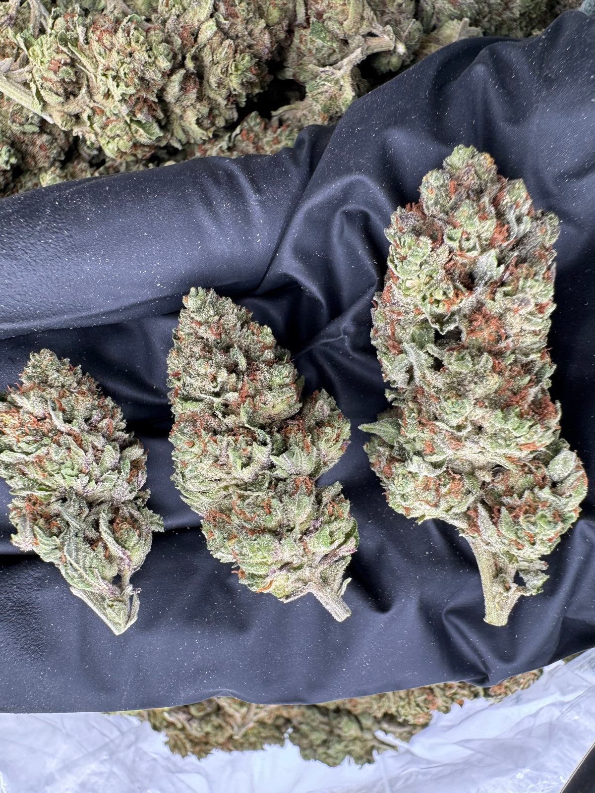 Grand Daddy nugs photo