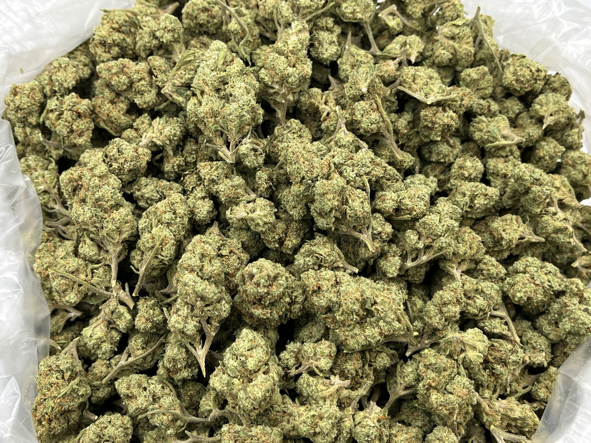 Jelly Mintz (Deps) bag photo