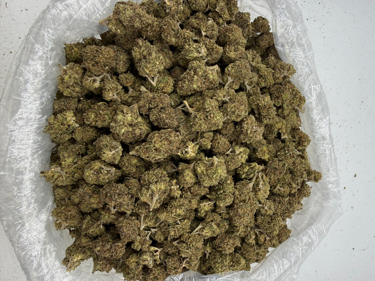 Gelonade (Deps) supplier bag photo