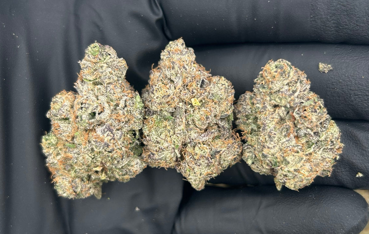 Cherry Gushers (Indoor Plus) flower photo