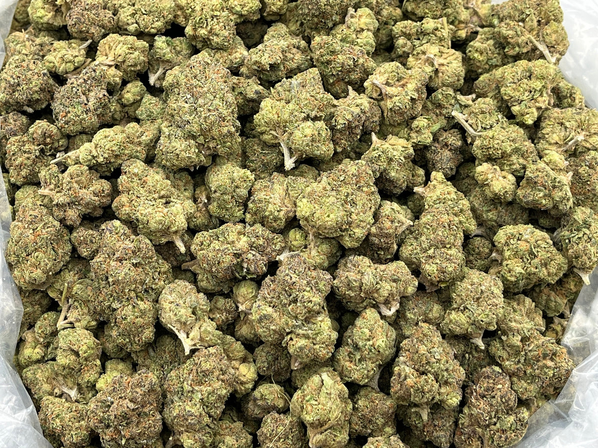 Candy X (Indoor) bag photo